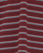 PP EDDIE POLO