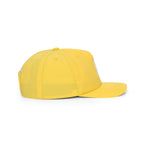PP LOGO CAP